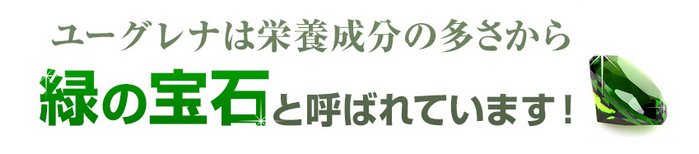 ユーグレナ健康サプリ パーフェクトグリーン